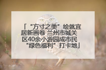 “方寸之美”绘就宜居新画卷 兰州市城关区40余小游园成市民“绿色福利”打卡地